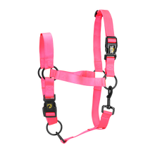 Excellent Essential Halfter Rosa XL *