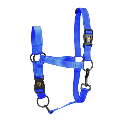 Excellent Premium Halfter Blau XS *