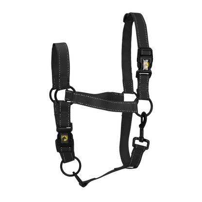 Excellent Premium Halfter Schwarz XS *