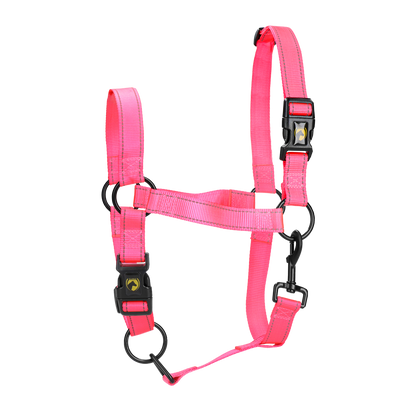 Excellent Premium Halfter Rosa XS *