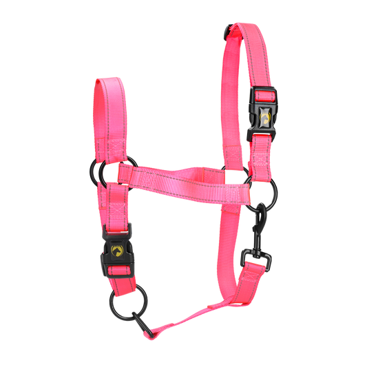 Excellent Premium Halfter Rosa S  *