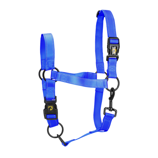 Excellent Premium Halfter Blau L *