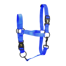 Excellent Premium Halfter Blau XL *