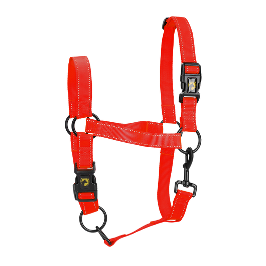 Excellent Premium Halfter Rot XL *