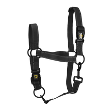 Excellent Premium Halfter Schwarz XL *