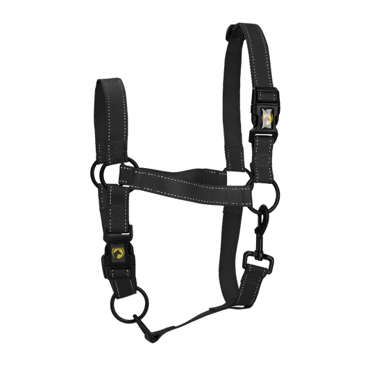 Excellent Premium Halfter Schwarz XL *