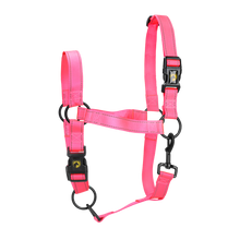 Excellent Premium Halfter Rosa XL *