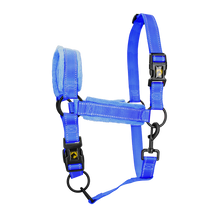 Excellent Superior Halfter Blau XS *