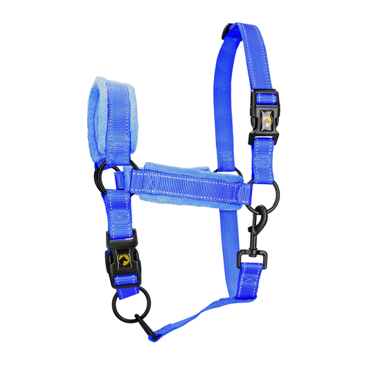 Excellent Superior Halfter Blau XS *