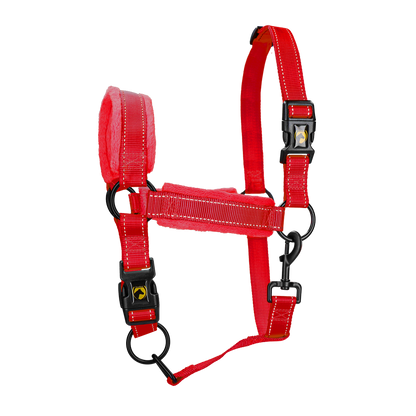 Excellent Superior Halfter Rot XS *