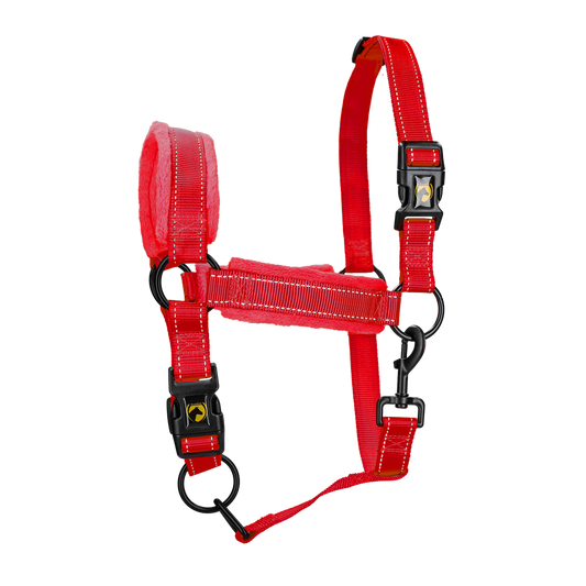 Excellent Superior Halfter Rot XS *