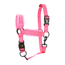 Excellent Superior Halfter Rosa M *