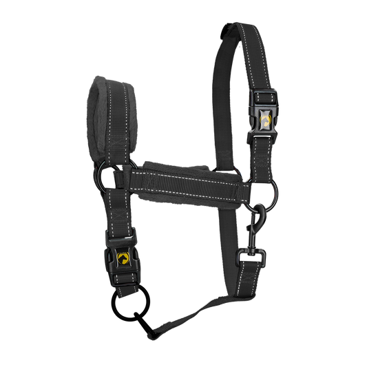 Excellent Superior Halfter Schwarz XL *