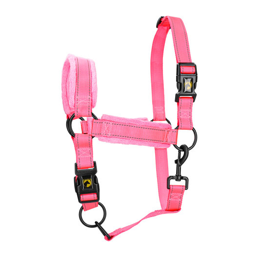 Excellent Superior Halfter Rosa XL *