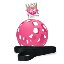 Hay Slow Feeder Fun & Flex Rosa