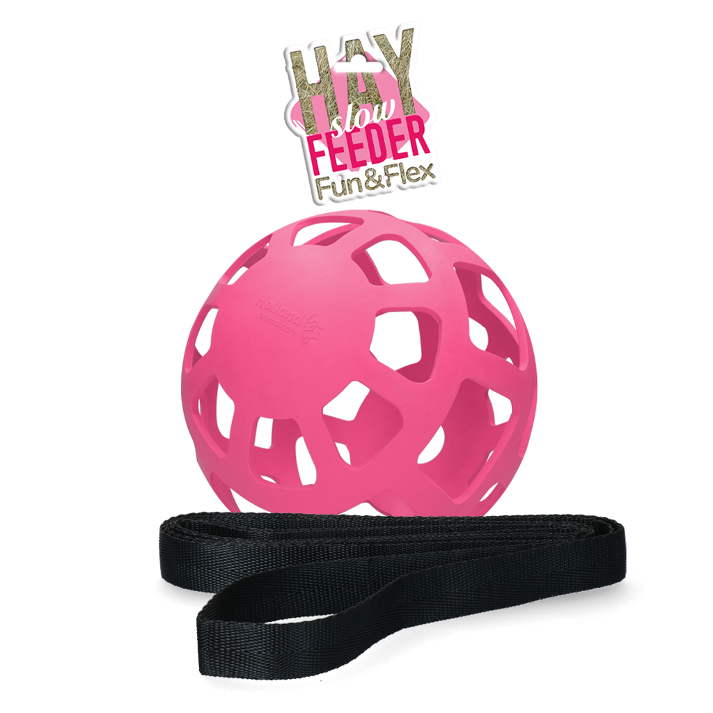 Hay Slow Feeder Fun & Flex Rosa
