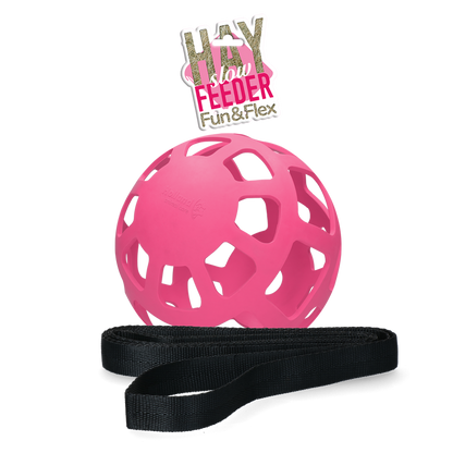 Hay Slow Feeder Fun & Flex Rosa