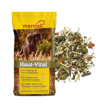 Haut-Vital
