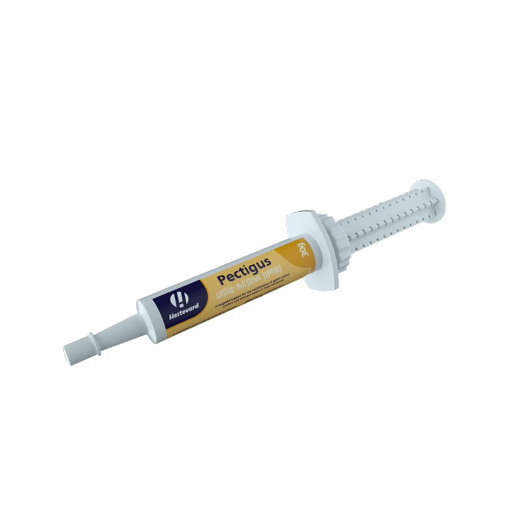 Hestevard Pectigus Paste - 30g Spritze