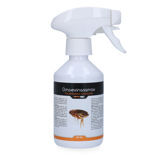 Knock Pest Umgebungsspray 250 ml *