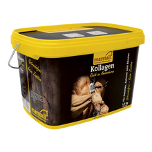 Kollagen