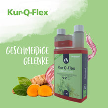 Hestevard Kur-Q-Flex - 420ml