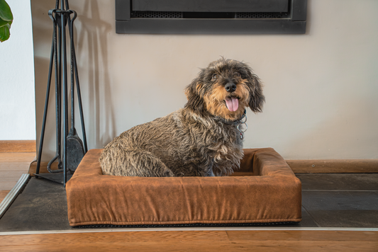Let's Sleep Comfy Cushion Hundekorb XL Taupe *
