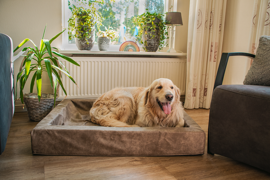 Let's Sleep Comfy Cushion Hundekorb L Cognac *