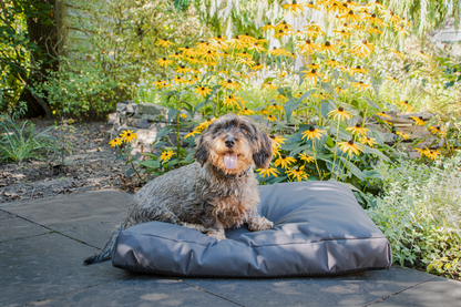Let's Sleep Cushy Cloud Outdoor Hundebett M Anthrazit *