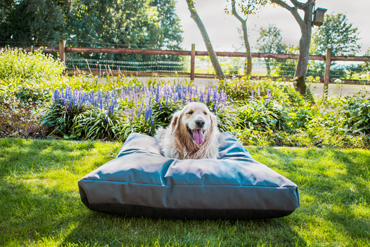 Let's Sleep Cushy Cloud Outdoor Hundebett L Anthrazit *