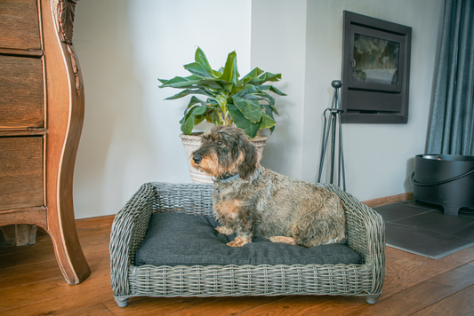 Let's Sleep Cozy Basket Weidenkorb Für Hunde L Anthrazit *