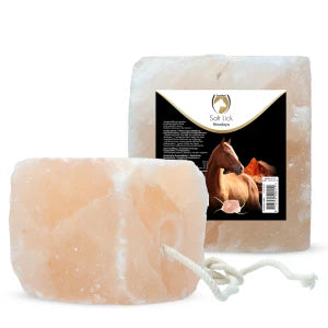 Excellent Horse Salt Lick Himalaya 2-3 kg (Mit Seil) *