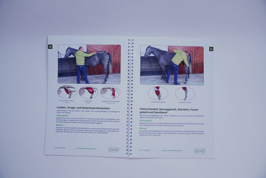 Leitfaden Faszientraining HBF-LF *