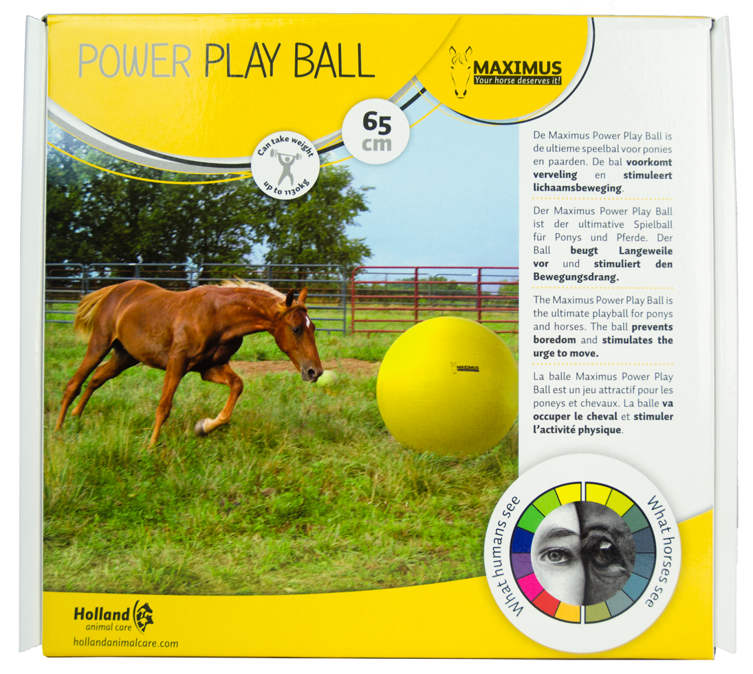 Maximus Power Play Ball 65 cm