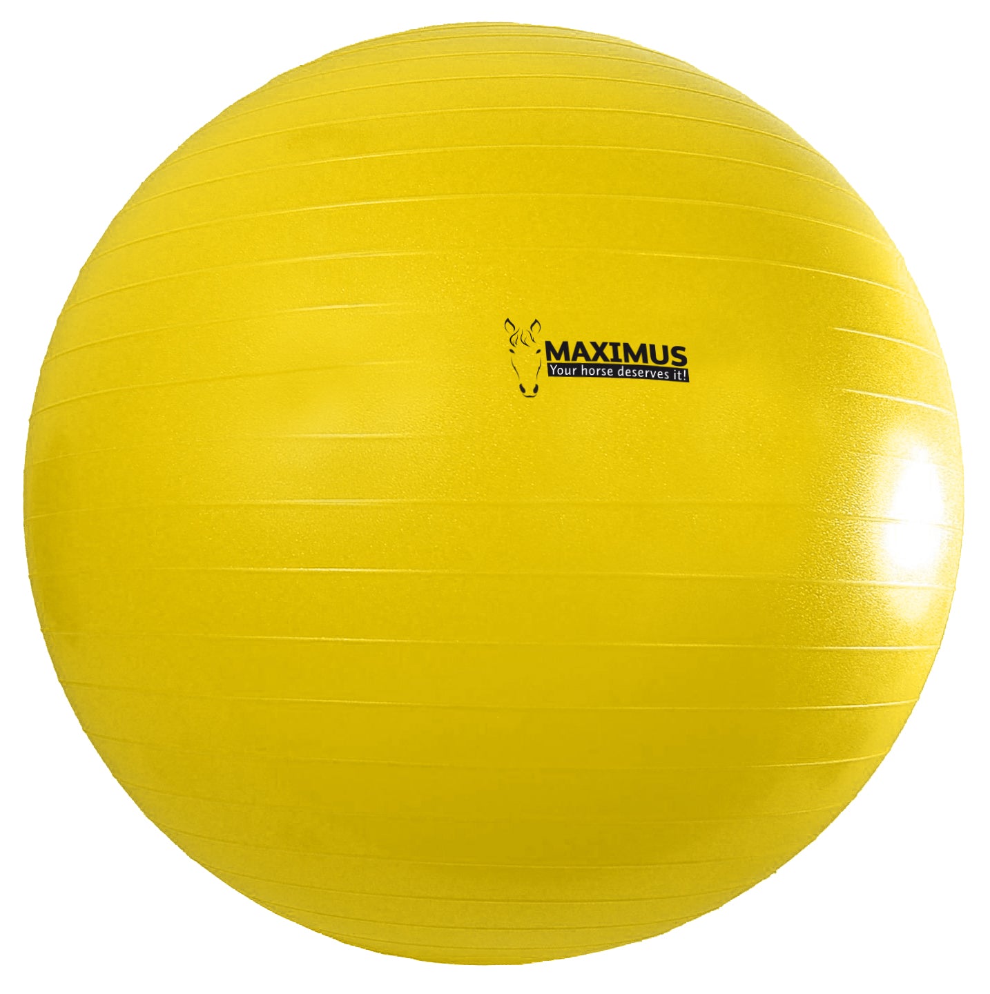 Maximus Power Play Ball 100 cm