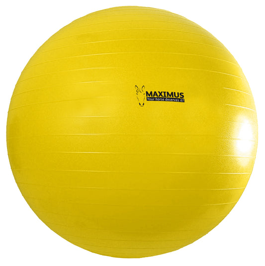 Maximus Power Play Ball 100 cm *