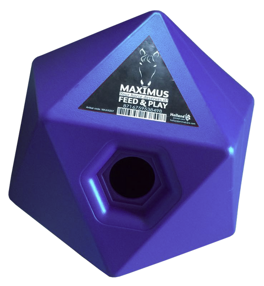 Maximus Feed & Play Blau *