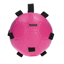 Excellent Horse Fun Play Ball Rosa