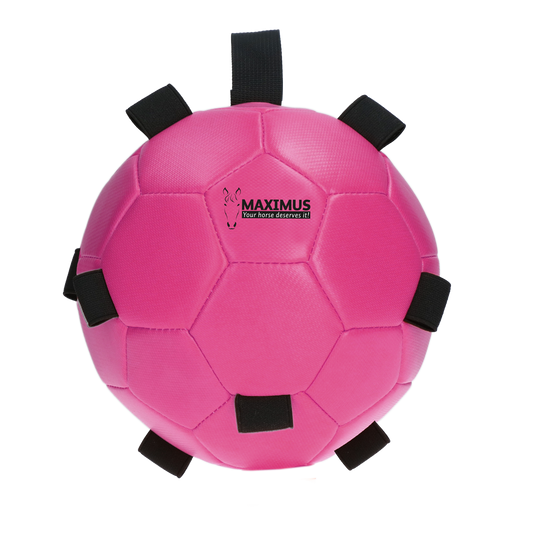 Excellent Horse Fun Play Ball Rosa *