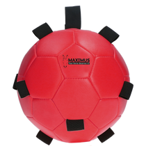 Excellent Horse Fun Play Ball Rot