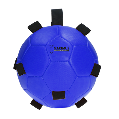 Excellent Horse Fun Play Ball Blau *