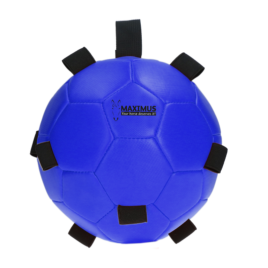 Excellent Horse Fun Play Ball Blau *