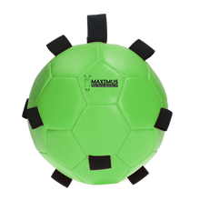 Excellent Horse Fun Play Ball Grün