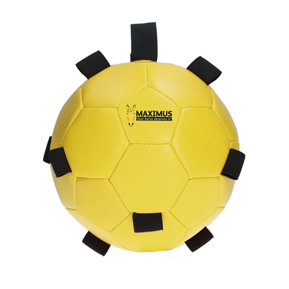 Excellent Horse Fun Play Ball Gelb *