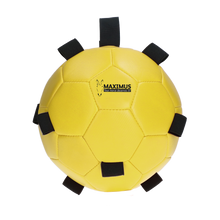 Excellent Horse Fun Play Ball Gelb