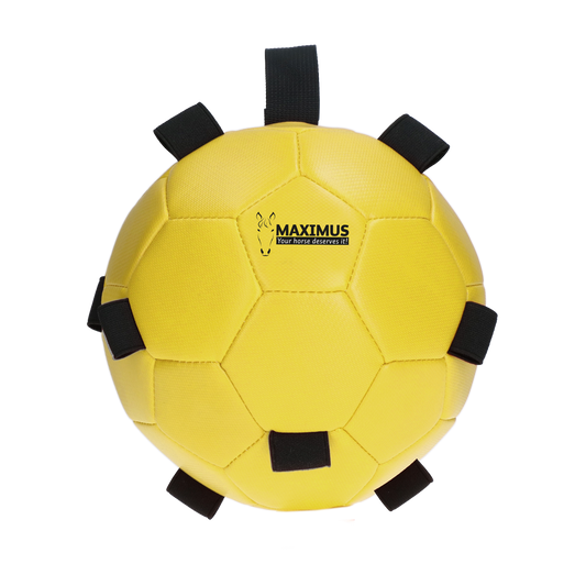 Excellent Horse Fun Play Ball Gelb *