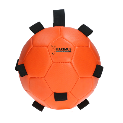 Excellent Horse Fun Play Ball Orange *