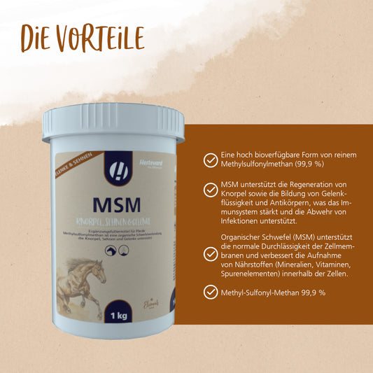 Hestevard MSM – Hochreines Methylsulfonylmethan zur Unterstützung von Gelenken & Beweglichkeit