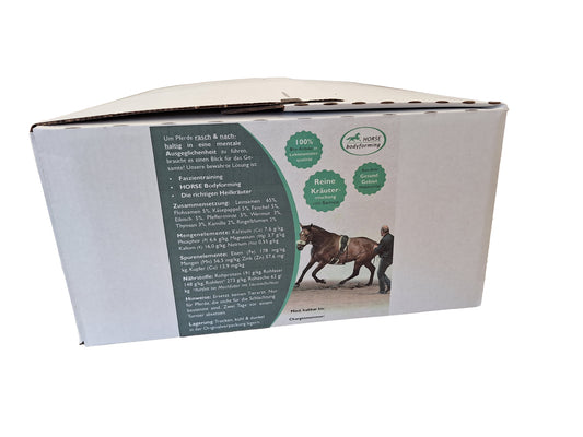 Magenfreund Herbs_Magen *
