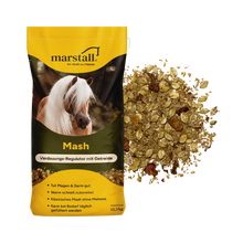 Mash